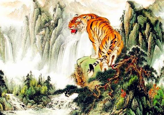 86年属虎人一生运势_属虎的人虎年运势_属虎人的一生运势