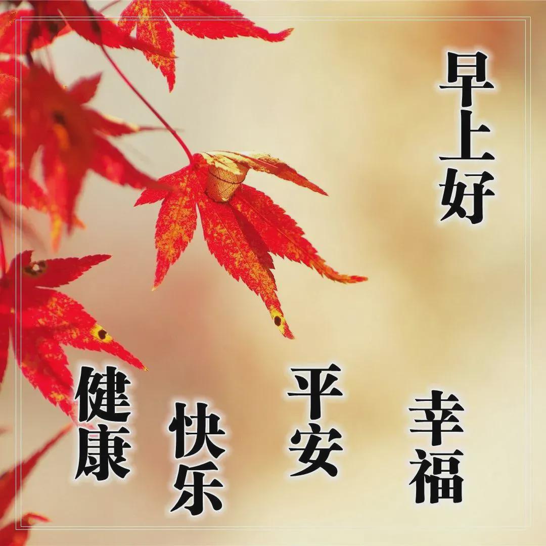 早上八字句问候_八字早安问候语_早上好问候语八字