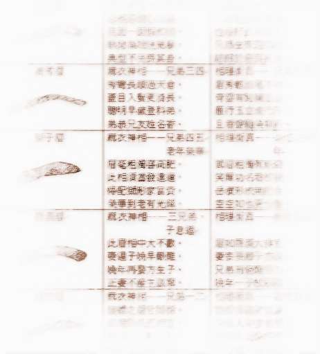 图解相术书籍_图解相术pdf_图解相术