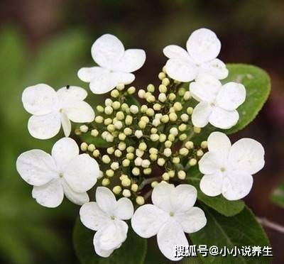 能娶到富婆的生肖男_能出生日子取富婆男人的名字吗_哪些日子出生的男人能取富婆
