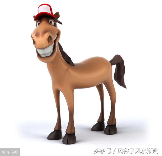生肖猪财运最好年份_属猪的好运年_属猪人哪年财运好