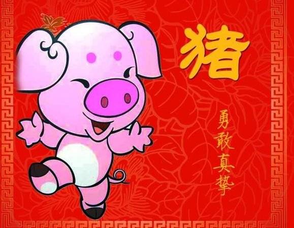 属猪出生日命运_生肖猪出生日命运_属猪的出生日看命