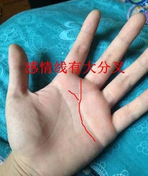 水星丘财富线_事业线分支到水星丘下面感情线_水星丘有斜线
