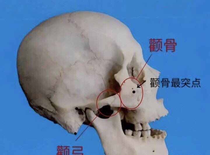 看相头骨_头骨相术_头骨相学