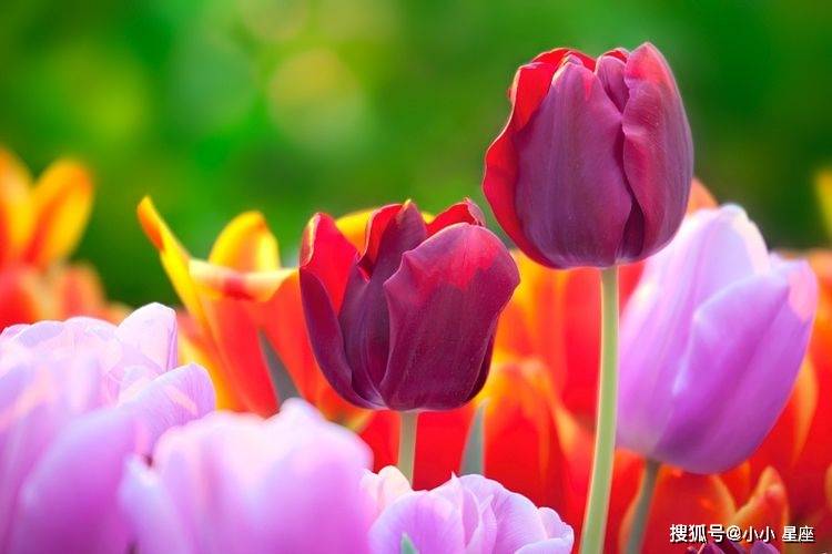 火命生于春季_火命人什么季节出生最好_火命人生于夏季