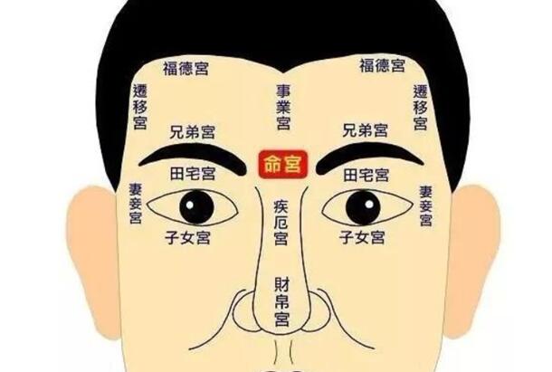 子女宫化忌入命为劫数_化忌在子女宫_子女宫化忌入子女宫