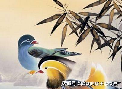 紫微父母宫能看出什么_紫薇看父母_紫微看母亲在哪个宫