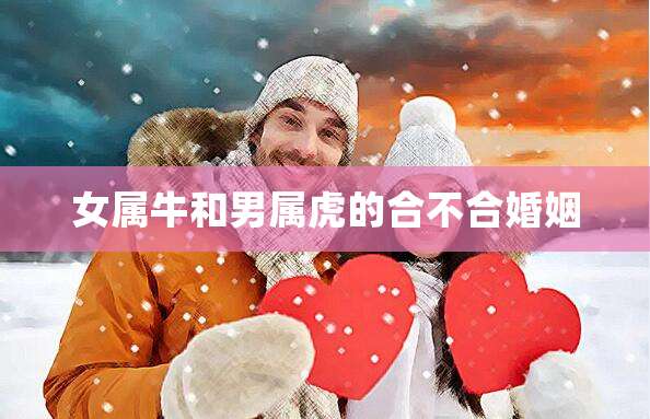 羊虎合婚吗_虎羊合婚_羊虎婚配的婚姻如何