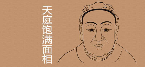 白骨相术手相_白骨相术_白骨相术是什么意思