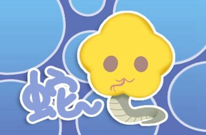 属猪女今年感情怎么样2020_属猪人今年爱情运势_属猪女今年的感情运势