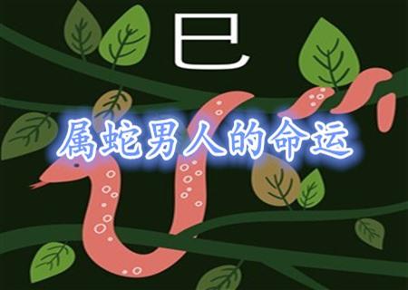 属猪女今年感情怎么样2020_属猪人今年爱情运势_属猪女今年的感情运势