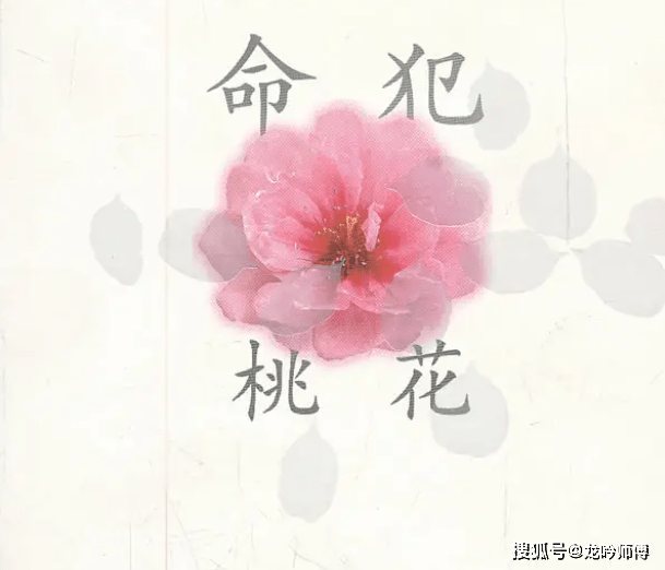 男子桃花命是什么意思_桃花命的男人好不好_桃花命的生肖男