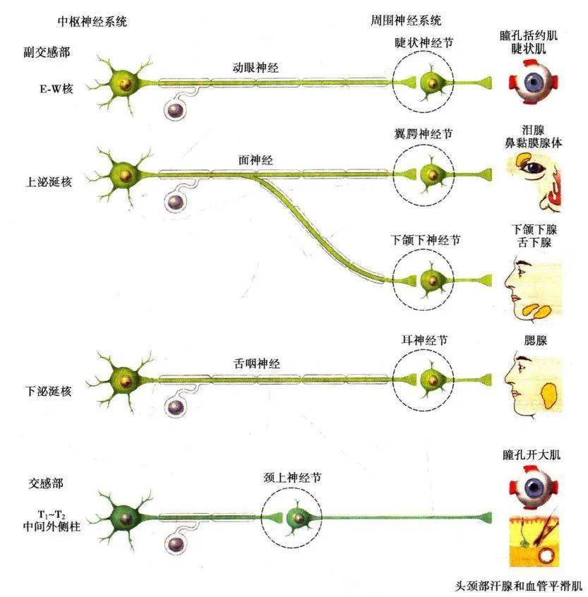 八字格局象断法实例解析视频_八字取象定像断命技巧_八字取象断命的十大简易方法
