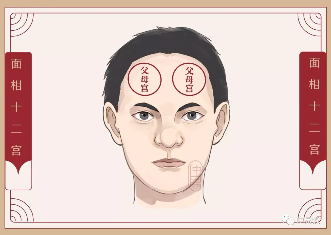紫微父母宫能看出什么_紫微在父母宫_紫微看母亲在哪个宫