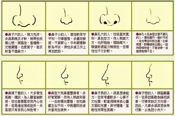 看相蒜头鼻_蒜头鼻相术_蒜头鼻相学