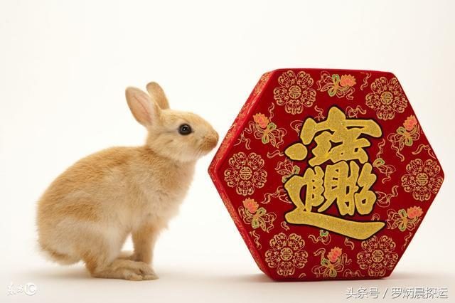 2021属兔姻缘_兔兔姻缘运势_99年属兔八字姻缘