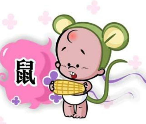 鼠女鼠的婚配什么最好_96年女鼠婚配_鼠女配对