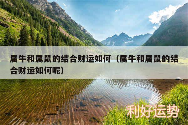 97年出生婚配_婚配年份重要还是出生日重要_出生年月婚配表
