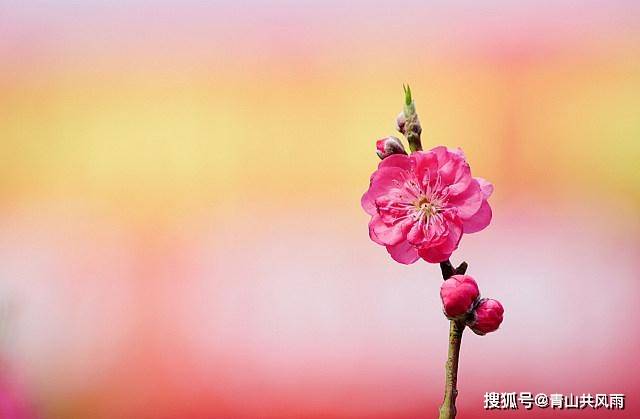 伤官有财女命的婚姻_伤官有财星来通关_女孩命里有伤官带财有官星