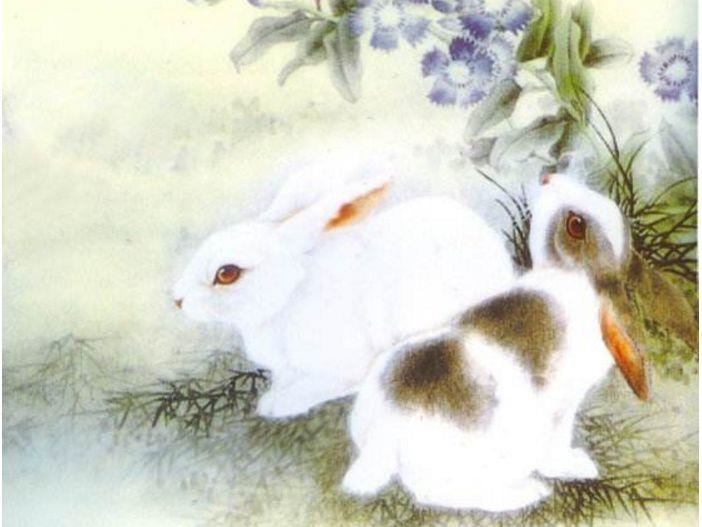 属兔出生日的命运如何_属兔出生日命运_兔生日命运属出什么生肖