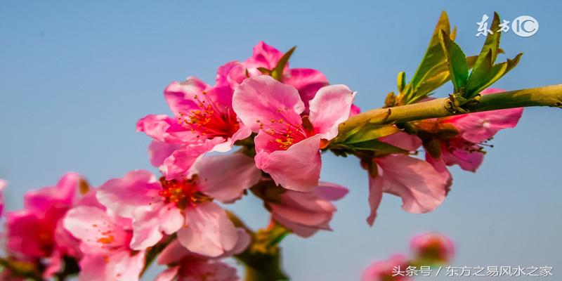 真正免费八字合婚终身详批_免费八字合婚官_八字免费合婚姻