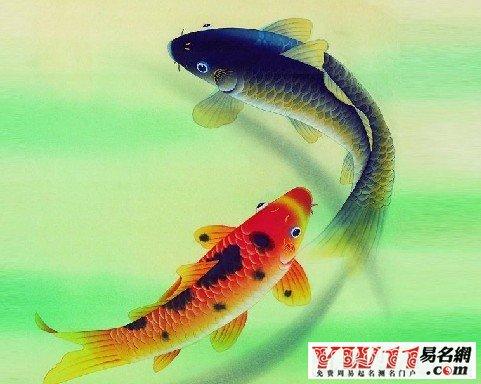 钓鱼梦见很多到处都是鱼_梦见钓到很多鱼_梦见好多钓鱼的