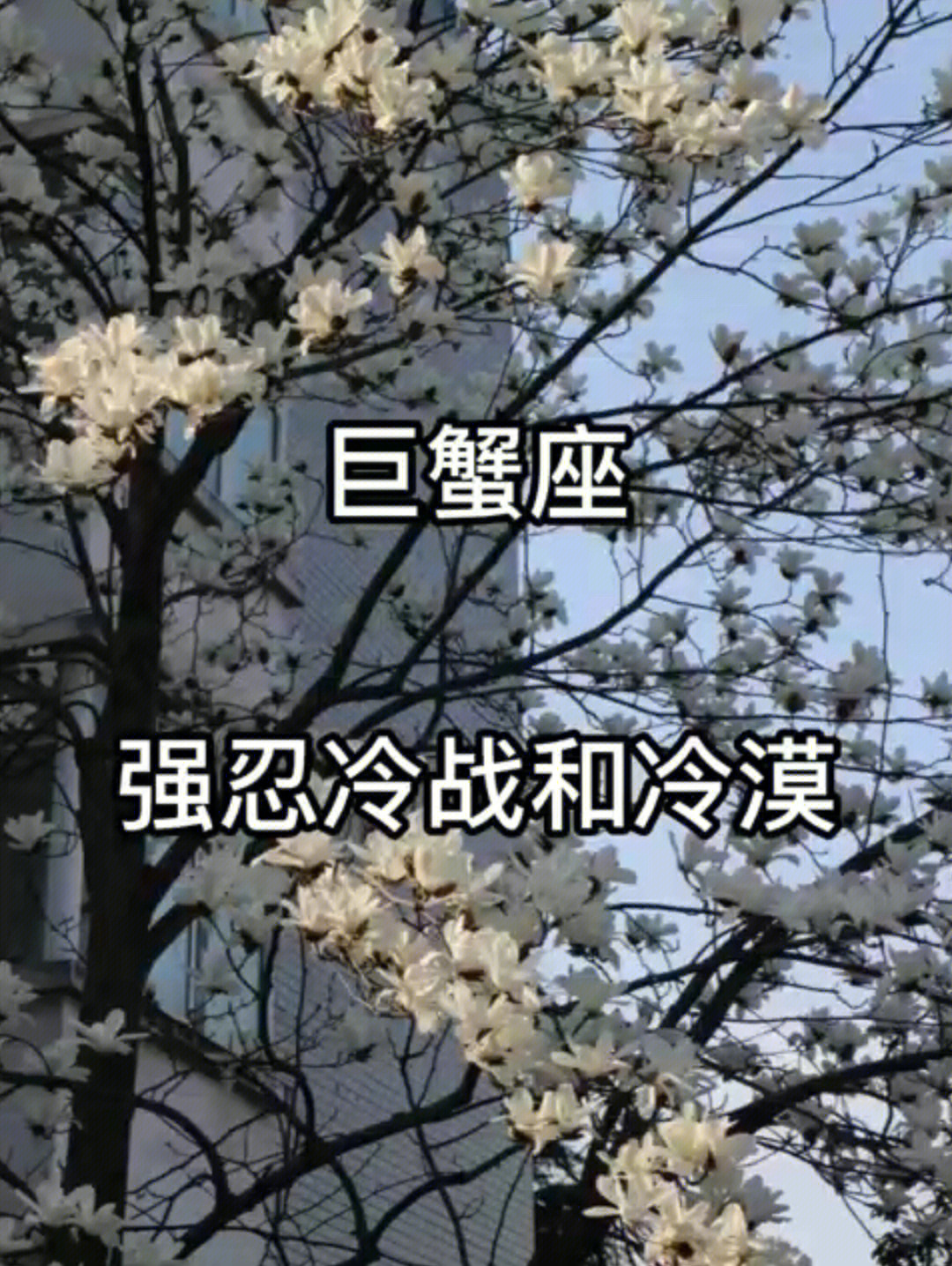 巨蟹座属龙男人的性格_巨蟹座属龙女生的性格脾气_属龙的巨蟹座男人性格和爱情观