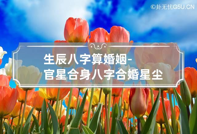 八字合婚免费算命生辰八字婚姻_生辰八字合婚 免费_免费合婚生辰八字婚姻大全