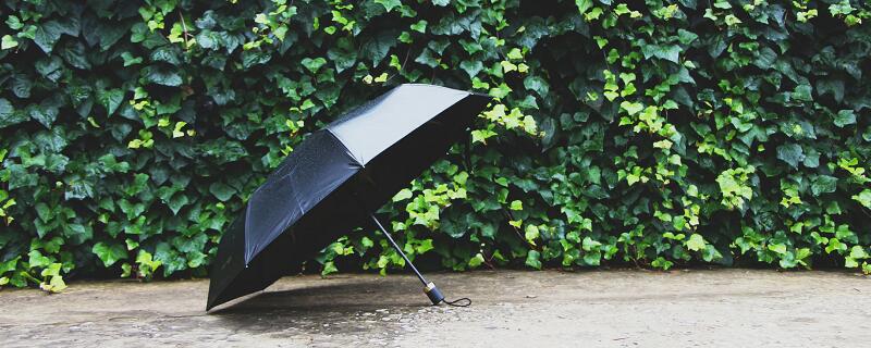 梦到大雨大风_梦见大风大雨预示什么_梦到大风大雨的气候是什么意思