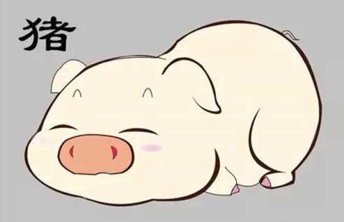 属猪人的性格及婚姻_猪婚姻性格属人好不好_猪人的婚姻