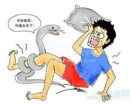 好事坏事蛇梦见男人是什么征兆_梦到蛇男人做什么梦代表性_男人梦见蛇是好事还是坏事
