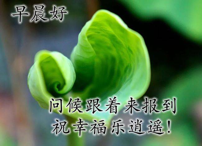 早上好问候语八字_八字早安问候_八字早上好的短句