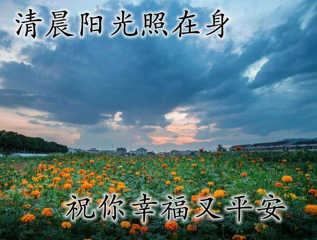 早上好问候语八字_八字早安问候_八字早上好的短句