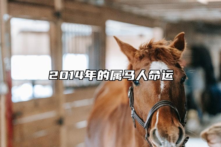 78年女性属马人的婚姻与命运_78年女性属马人的婚姻与命运_78年女性属马人的婚姻与命运