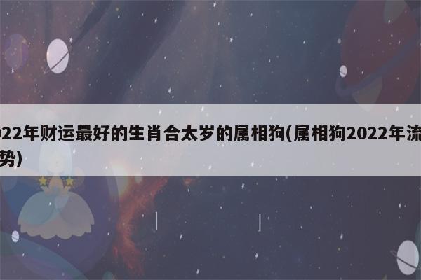 2023年属狗女感情运势_2022年属狗女人感情运_属狗的2023运势