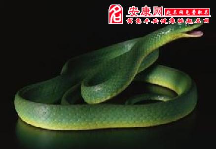 梦见蛇是什么预兆孕妇_孕妇梦到蛇是儿子还是女儿_预兆孕妇蛇梦见是胎梦吗