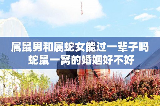 属蛇人的婚姻与命运_生肖蛇婚姻_蛇婚姻命运属人好不好