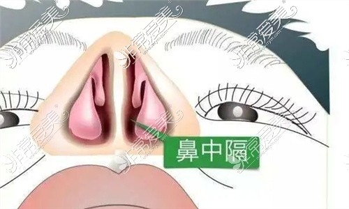 面相歪鼻子女_面相学鼻子歪_歪鼻子面相