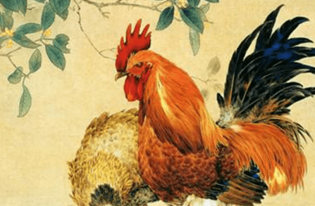 属鸡人下周运势运程_生肖鸡下周运势如何_属鸡人下周运势早播报