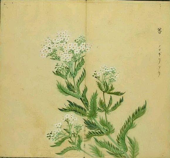 易经算卦方法三位数字_易经算卦方法流程_易经算卦的几种方法