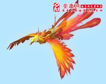 凤凰女儿梦见生女儿_女儿出生前梦到凤凰_梦见凤凰 生女儿