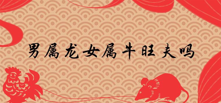 属婚配狗牛男女好不好_男属狗女属牛婚配好吗_属狗配牛结婚好吗