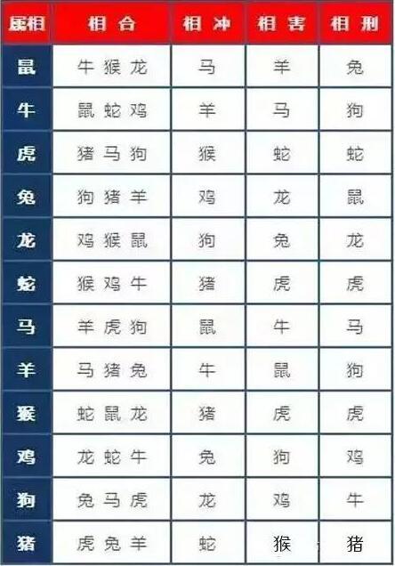 今年属相运势2023_属相运势2023年生肖运程_2023属相运势