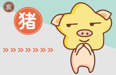 猪肖最佳婚配_男猪的最佳婚配属相_属相猪婚配什么属相好