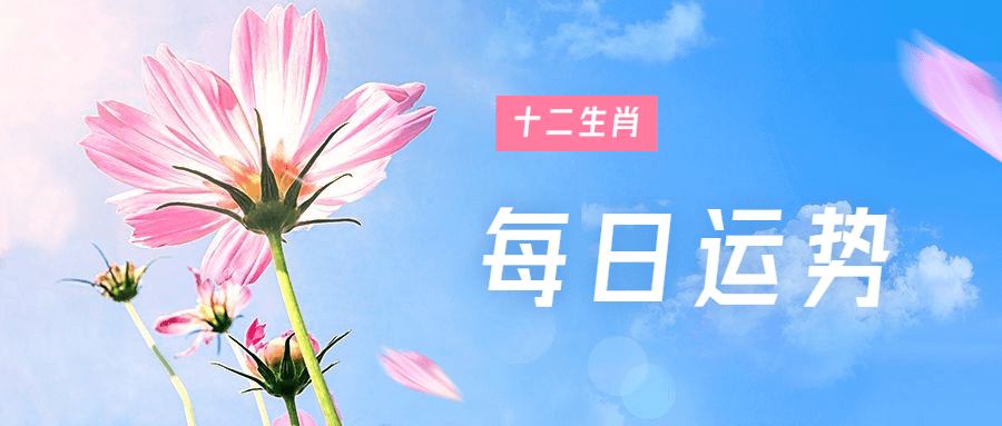 属相可信运势怎么看_生肖运势能不能信_属相运势可信吗