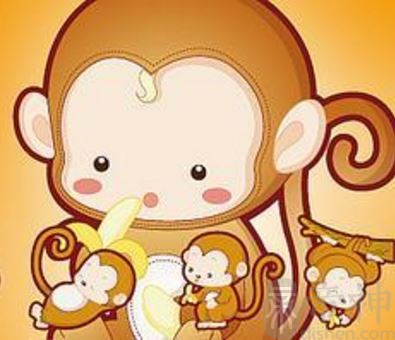 属猴婚配生肖_属猴的婚配属相最好_属猴婚配属猴好不好