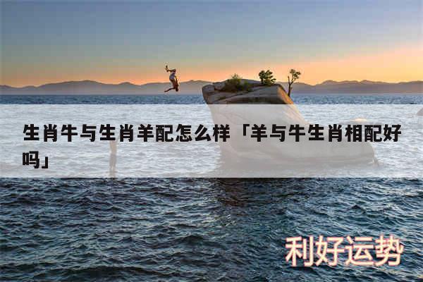 属羊猪最佳婚配_女猪男羊婚配属相运势_属相婚配羊运势猪男女怎么样