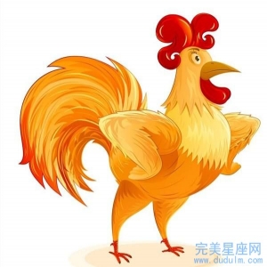 鸡年属龙的运势及运程_生肖鸡龙年运势_龙人鸡年运势运程