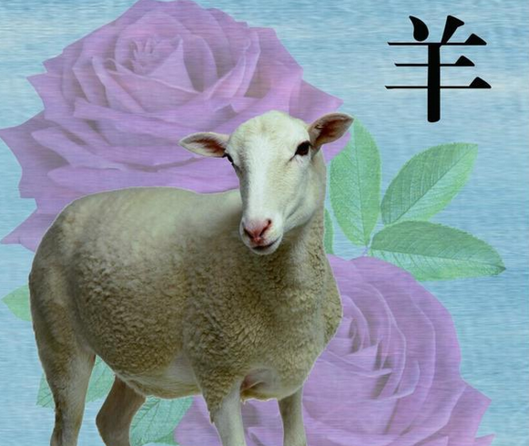 女猪男羊婚配属相运势_属相婚配羊运势猪男女怎么样_属相猪羊婚配怎么样