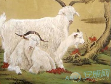 羊年女宝宝起名_羊宝宝取名宜用字女孩_羊年女宝宝好听的名字